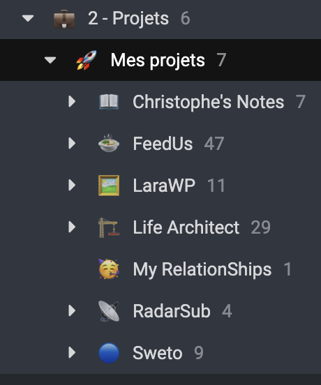 Capture d'écran d'une application de prise de notes organisant les idées de side-projects et l'expérimentation IA